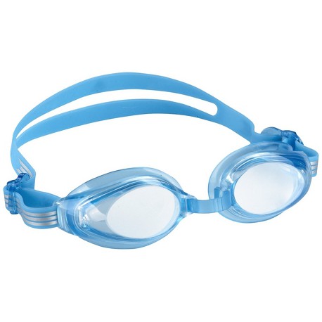 V86948 GOGGLES